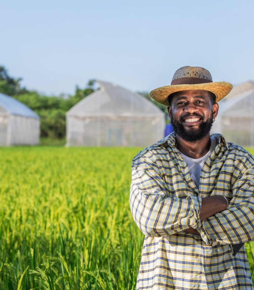 confident-farmer-standing-in-green-field-with-arms-2024-12-07-23-45-00-utc